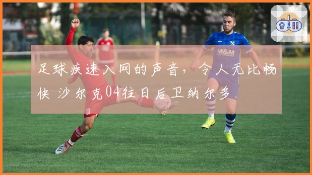 足球疾速入网的声音，令人无比畅快 沙尔克04往日后卫纳尔多