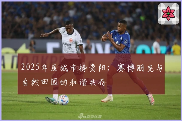 2025年度城市榜贵阳：赛博朋克与自然田园的和谐共存