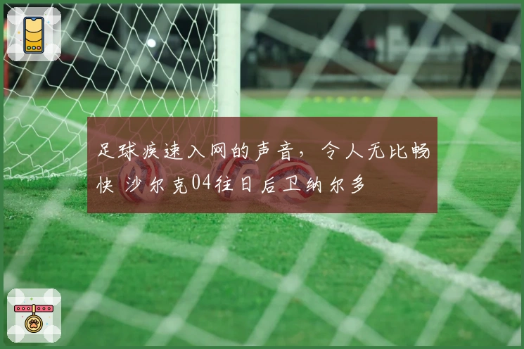 足球疾速入网的声音，令人无比畅快 沙尔克04往日后卫纳尔多