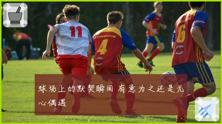 球场上的默契瞬间 有意为之还是无心偶遇